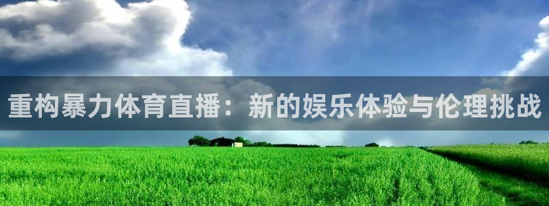 黑白直播吧nba：重构暴力体育直播：新的娱乐体验与伦理挑战