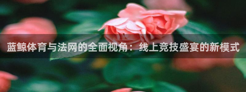 直播吧体育吧：蓝鲸体育与法网的全面视角：线上竞技盛宴的新模式