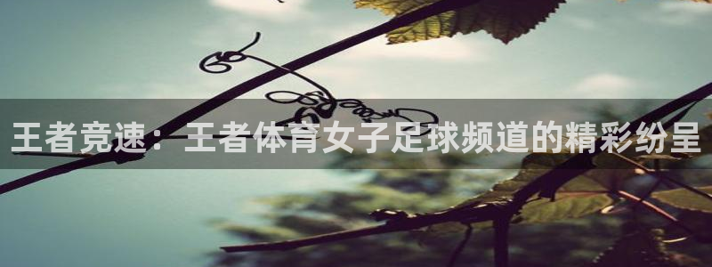 极速飞速体育直播吧体育直播：王者竞速：王者体育女子足球频道的精彩纷呈