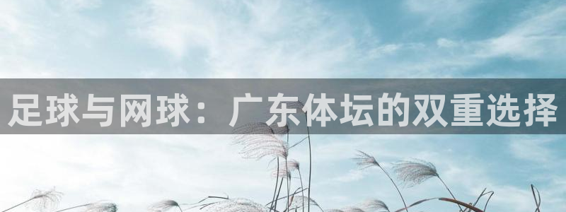 55体育直播吧
