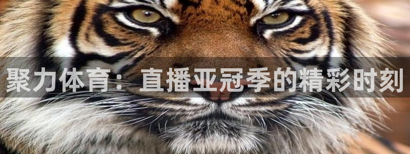 jrs低调看高清直播吧直播：聚力体育：直播亚冠季的精彩时刻