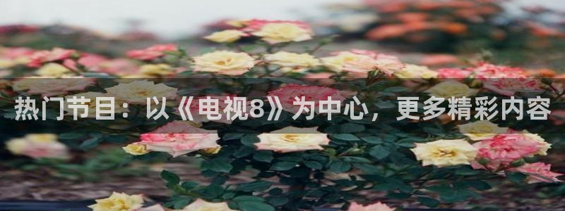 24小时直播吧nba：热门节目：以《电视8》为中心，更多精彩内容