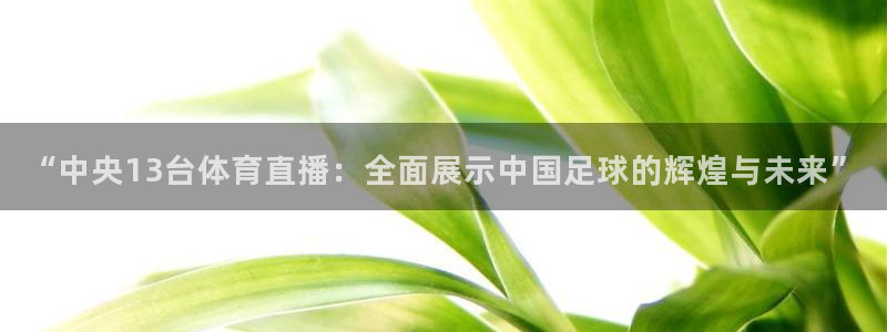 jrs英超直播吧：“中央13台体育直播：全面展示中国足球的辉煌与未来”