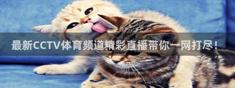 极速体育直播nba直播吧：最新CCTV体育频道精彩直播带你一网打尽！