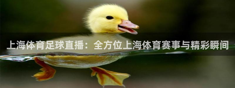 体育直播吧在线观看：上海体育足球直播：全方位上海体育赛事与精彩瞬间