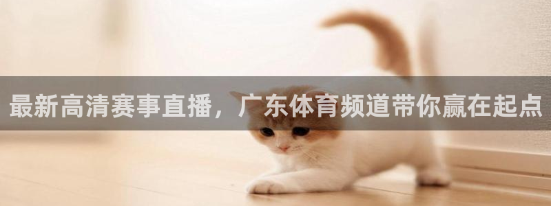 体育直播吧nba在线直播：最新高清赛事直播，广东体育频道带你赢在起点