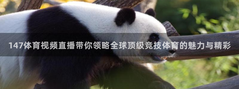 直播吧免费足球直播在线观看：147体育视频直播带你领略全球顶级竞技体育的魅力与精彩