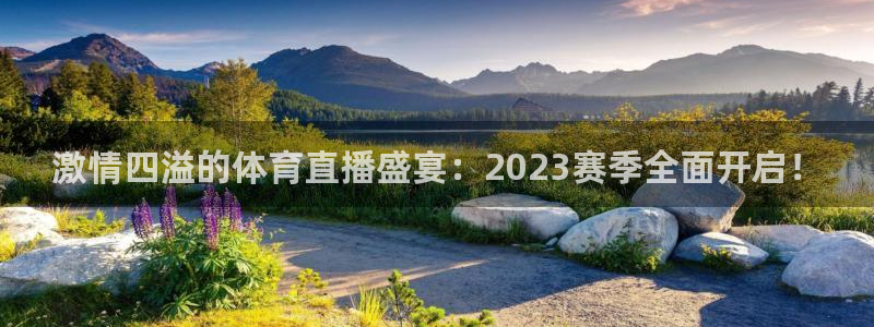 nba直播在线观看免费直播吧：激情四溢的体育直播盛宴：2023赛季全面开启！