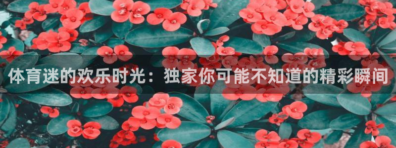 jrs直播nba在线直播吧：体育迷的欢乐时光：独家你可能不知道的精彩瞬间